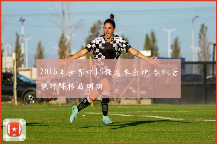 2016年世界杯16强名单出炉 各队晋级对阵格局明朗